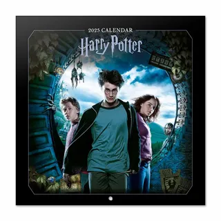 Grupo Erik Kalender 2025 Wandkalender 2025 Grupo Erik Filme Harry Potter Kalender 2025 Familienplaner 2025 30 x 30 cm Jahreskalender Familienkalender 2025 - Offizieller Harry Potter Fanartikel