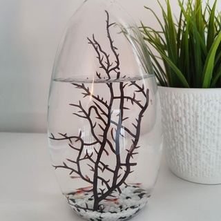 Ecosphere - Großes Ei 19 cm hoch - doppeltes Volumen und doppeltes Anzahl von Garnelen von SP nach einer Techologie der NASA
