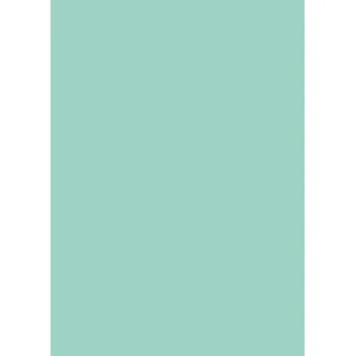 d-c-fix Selbstklebefolie Uni Lack mint 45cm x 2m