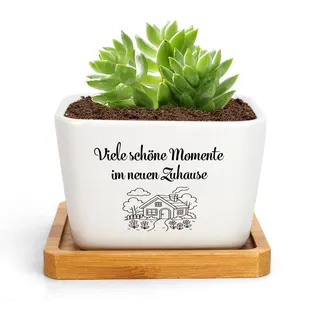 RRIGETEN Geschenk Zum Einzug Einweihungsgeschenk Wohnung Einzugsgeschenke Wohnung Einzugsgeschenke Haus Blumentopf Geschenke Für Einzug Geschenke Zum Einzug Geschenkideen Zum Umzug