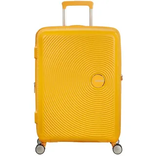 67 cm / 71,5-81 l golden yellow
