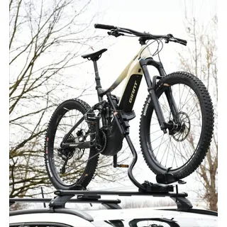 FARAD Fahrradträger Pesio für Fahrrad Und Bike Ebike Fat Bike Max 25kg