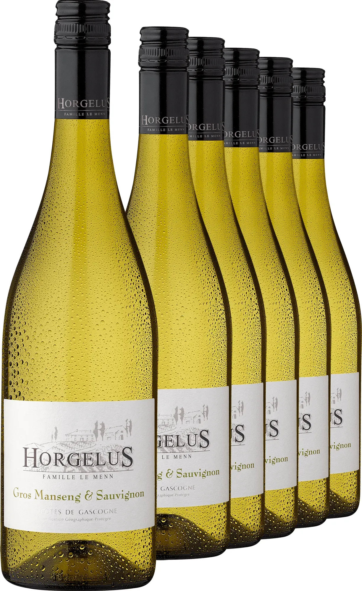 2025 Horgelus Gros Manseng & Sauvignon im 6er-Vorratspaket