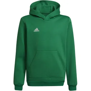 Adidas Entrada 22 Sweat Hoodie Kinder - team green/white, 116