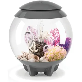 biOrb HALO 15 MCR grau