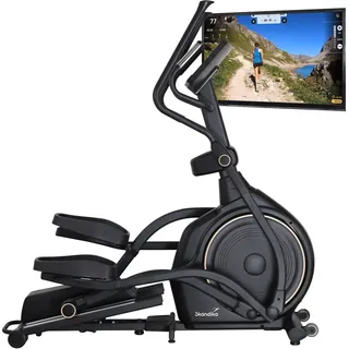 Skandika Crosstrainer Carbon P30-S Touchscreen,