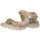 beige 38