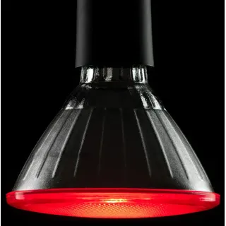 Segula Bright LED-Lampe PAR38 E27 18 W, 50764, PAR38