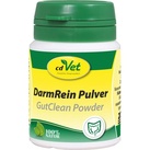 DarmRein Pulver 20 g
