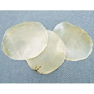 Muschel und Schnecken Perlmuttscheiben Natur 1 kg ca. 9-11 cm Dekoration Hänge-Dekoration Schmuck Muscheln Hochzeit, Geburtstag, Karneval