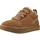 Chestnut 36