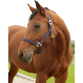 Kerbl Nylonhalfter Hippo, Shetty