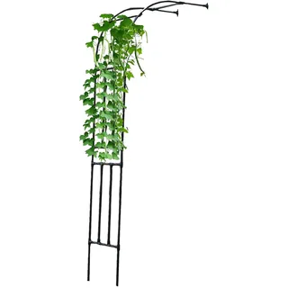 Halber Rosenbogen,Torbogen Rankgitter Metall,Gartenbogen Für Kletterpflanzen,Rosen Spalier Gegen Die Wand,Rosenbögen Rankhilfe,Rankbogen Pergola,Breite 90/180/200/300cm,Schwarz(HxBxT: 240 x 180 x 40 c