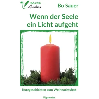 Wenn der Seele ein Licht aufgeht: Kurzgeschichten zum Weihnachtsfest