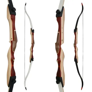 RAGIM Recurvebogen, Bogen, Sportbogen, Take Down Wildcat Plus 66" 16 lbs, Linkshand