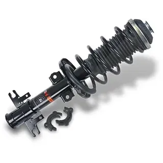 gh Federbein Komplett Federbein