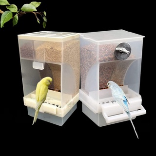 Sipiris Automatischer Futterspender für Vögel, 2PCS Futterspender Vögel Futterautomat Vogelkäfig Automatischer Futterspender Vogel für Wellensittiche Kanarienvögel Lebensmittelbehälter