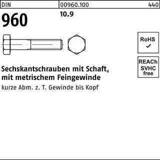 Hörger & Geßler DIN 960 Sechskant-Schaftschraube Feingewinde M14x60 Stahl 10.9 blank