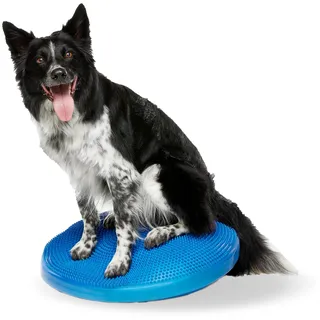 FitPAWS Balance Disc 55cm