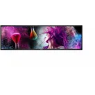 Philips 37BDL3050S Super-Ultrawide Signage Display 94 cm (37")
