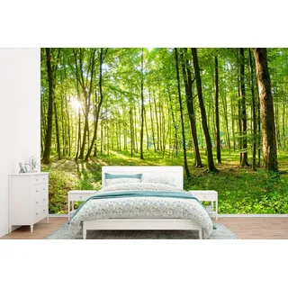 MuchoWow Fototapete Natur - Bäume - Wald - Grün - Sonnenlicht, Matt, bedruckt, (5 St), Vinyl Tapete für Wohnzimmer oder Schlafzimmer, Wandtapete, 360x240 cm bunt 3.6 m x 2 m