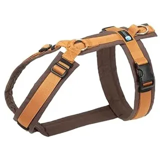 Anny-X Brustgeschirr Fun | Farbe Braun-Bernstein | Hundegeschirr in Größe XXS (Brustumfang 36-42 cm) (Braun-Bernstein, XXS)