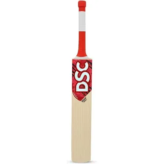 DSC Roar Terra Kashmir Willow Cricket Bat | Farbe: Beige | Größe: 6 beige|ROT 6