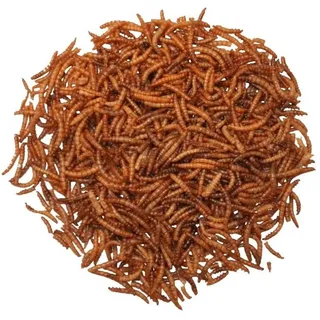 Mehlwürmer 10 kg Vogelfutter Wintervogelfutter Nahrungsergänzung - Agrarshop