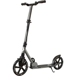 Best Sporting Scooter 250er - Silber/Schwarz