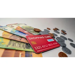 Tanner Euro-Spielgeld (208005)