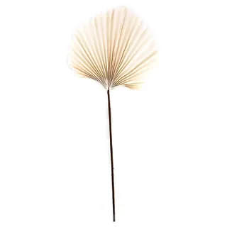 Trockenblumen - Leaf paper - 76x29x1 cm