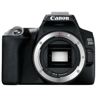 Canon EOS 250D + 18-55 mm DC III + 75-300 mm III