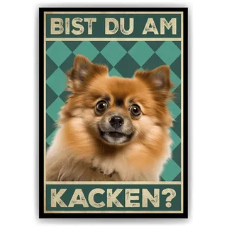 Zwergspitz - Bist du am Kacken? Hunde Poster Badezimmer Gästebad Wandbild Klo Toilette Dekoration Lustiges Gäste-WC Bild DIN A4 – DIN A4 (21x29...