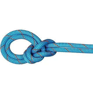 Mammut Bergseil 9.8 Crag Classic Rope 50m, ice mint-white, 50