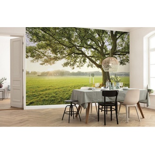 KOMAR Vlies Fototapete The Magic Tree
