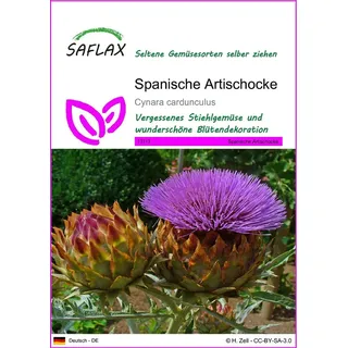 SAFLAX - - Spanische Artischocke - 50 Samen - Cynara cardunculus