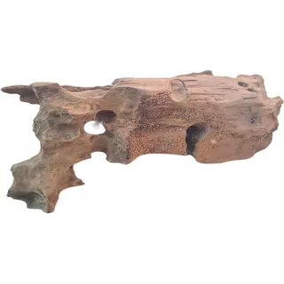 Natunae Treibholz Groß, Naturholz Deko für Aquarium, Terrarium, Reptilien, Vivarium und Paludarium (M) 28-30 cm