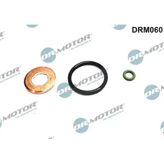 DR.MOTOR AUTOMOTIVE Dichtungssatz, Einspritzdüse