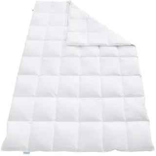 REGINA HOME SLEEP LIVING EST. 1967 Daunendecke, 155x220cm, 6x8 Karos, 90% Daunen, Federn, 155x220 cm, Oeko-Tex® Standard 100, Schlaftextilien, Bettdecken, Daunendecken
