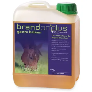 St. Hippolyt Brandon plus gastro balsam 2,5 l Magen-Darmschleimhaut