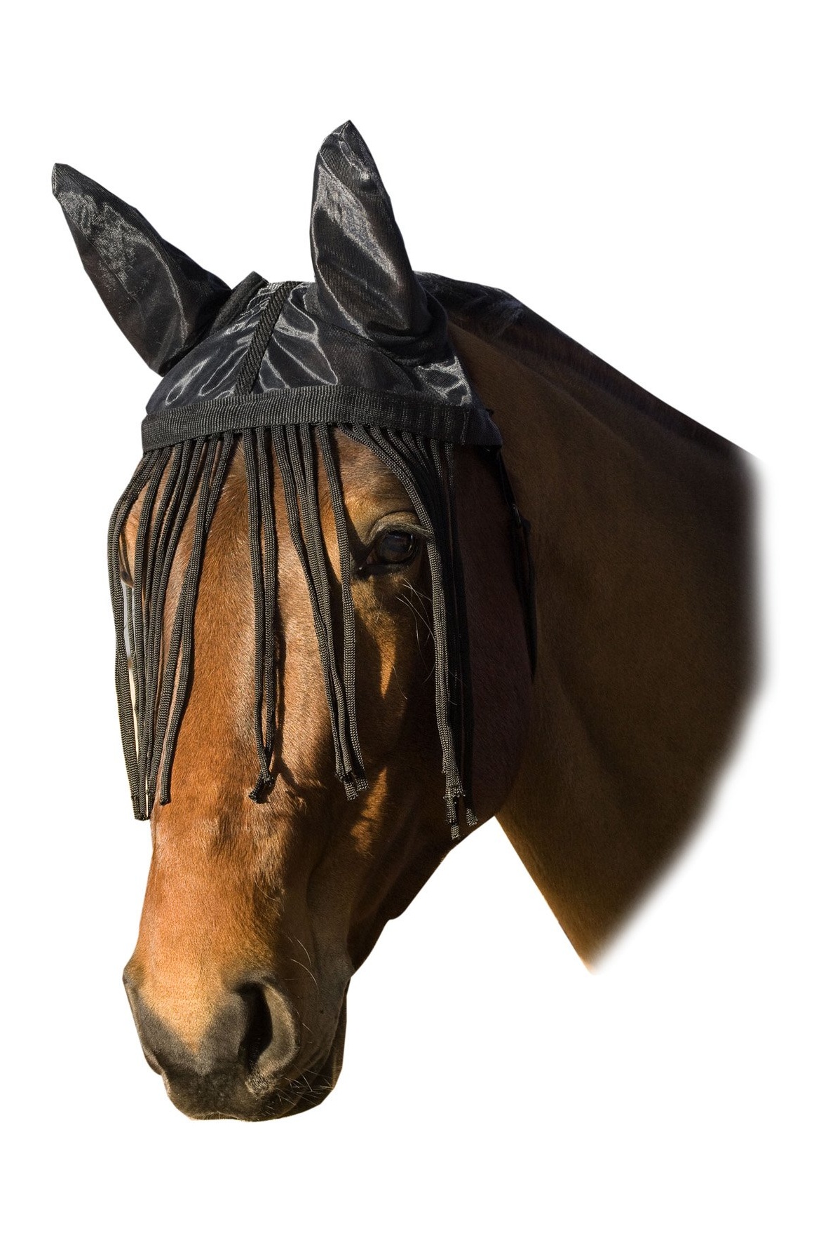 Bild Fliegenhaube m. Ohrenschutz und Fransen, schwarz, Pony