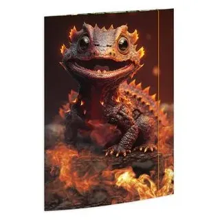 RNK Gummizugmappe A3 Dragon 45378,