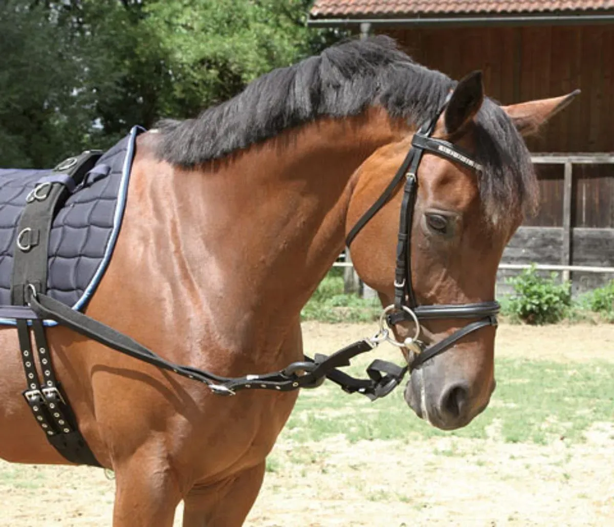 Covalliero Ausbindezügel Ausbinder schwarz, Größe: Full