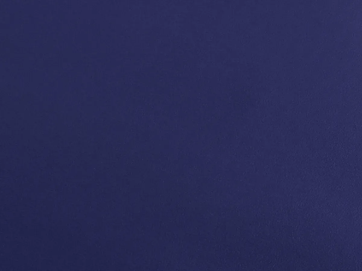 PVC Boden EXPOTOP | Blau | 2,00m Breite