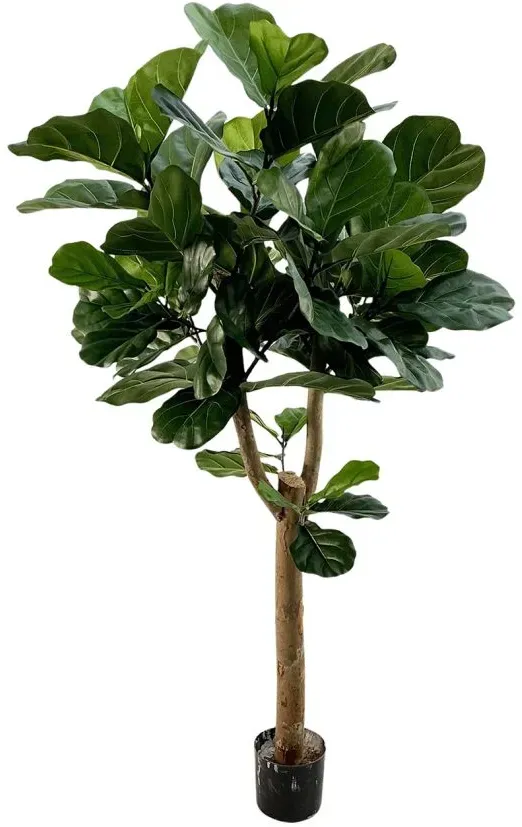 Designplants Lyrata Y Kunstbaum (h: 170 cm)