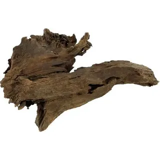 Hobby Mangrovenholz XS, 12-15cm, per Stück