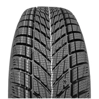 275/45 R21 110V XL