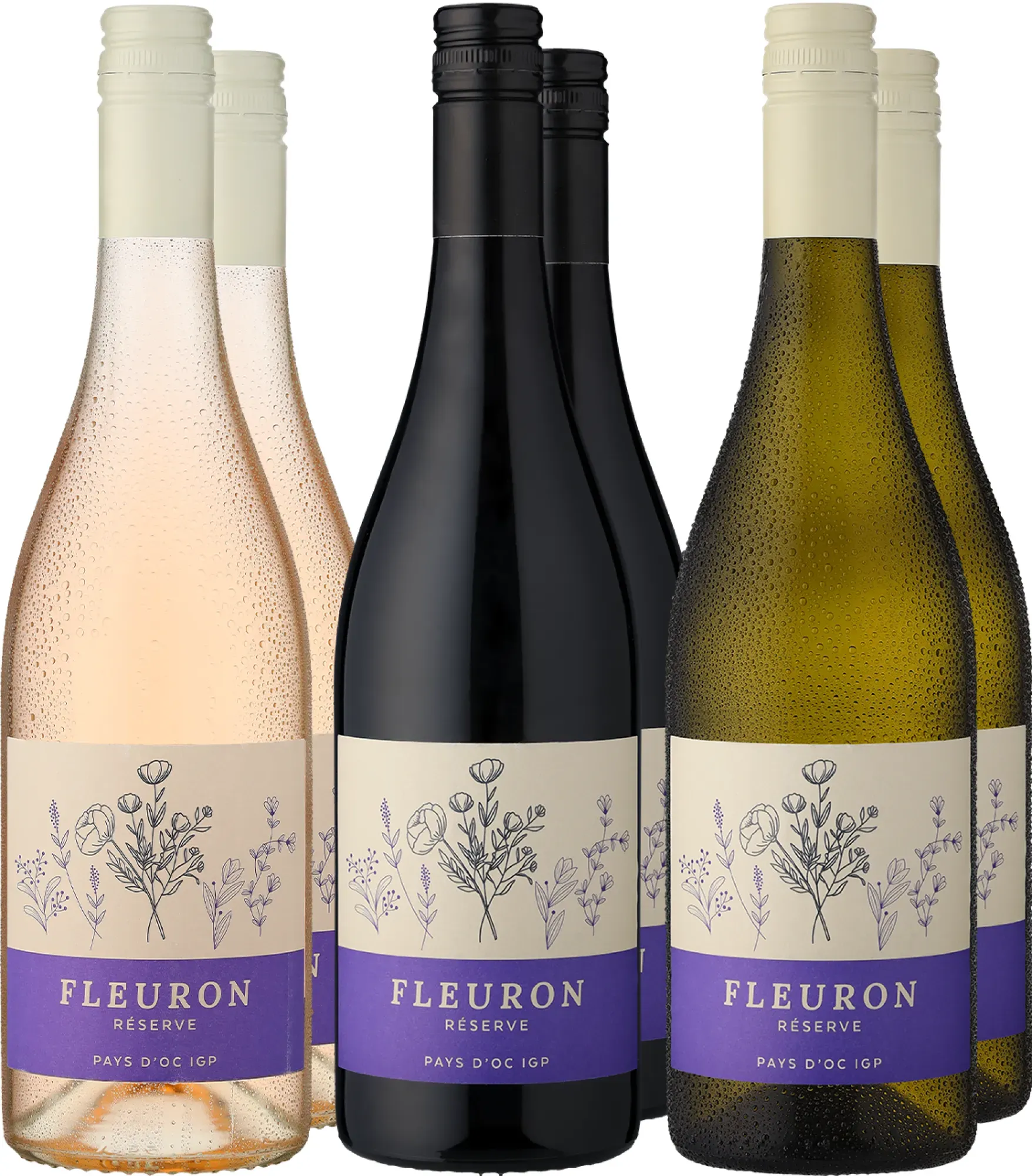 6er-Probierpaket »Fleuron-Entdecker«