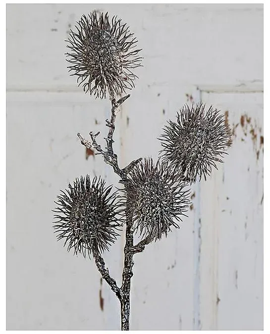 Künstlicher Rambutanfruchtzweig, 4-fach, 60 cm, braun-weiß
