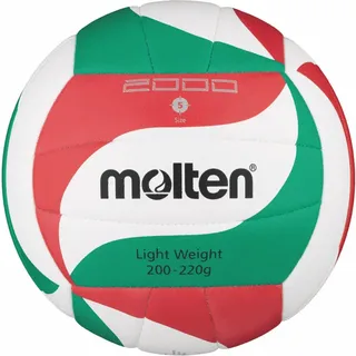 Molten Volleyball